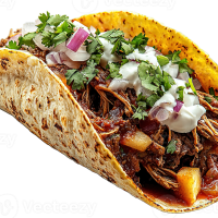 TACO DE BIRRIA
